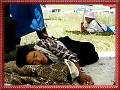 Sommerfest03
